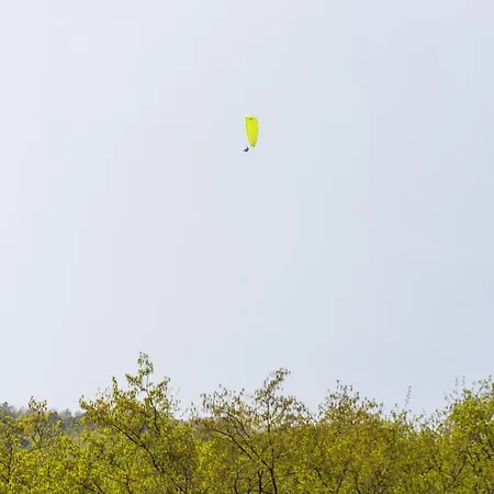 Dalla Mena Romano D'Ezzelino