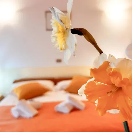 Dalla Mena Hotell Romano D'Ezzelino