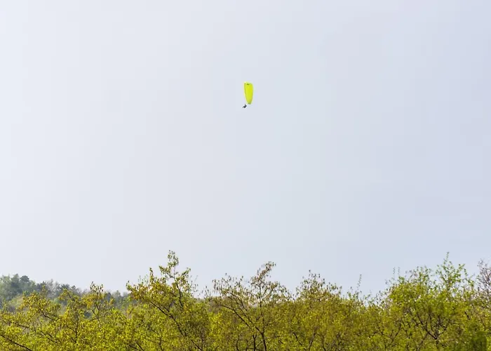 Dalla Mena Romano D'Ezzelino